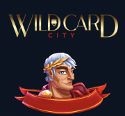 Wild Card City Casino Image