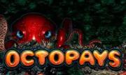 Octopays Slot Review Image