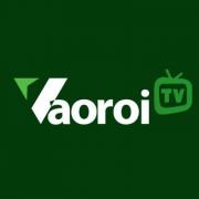 Vaoroi TV Trực tiếp bóng đá Image