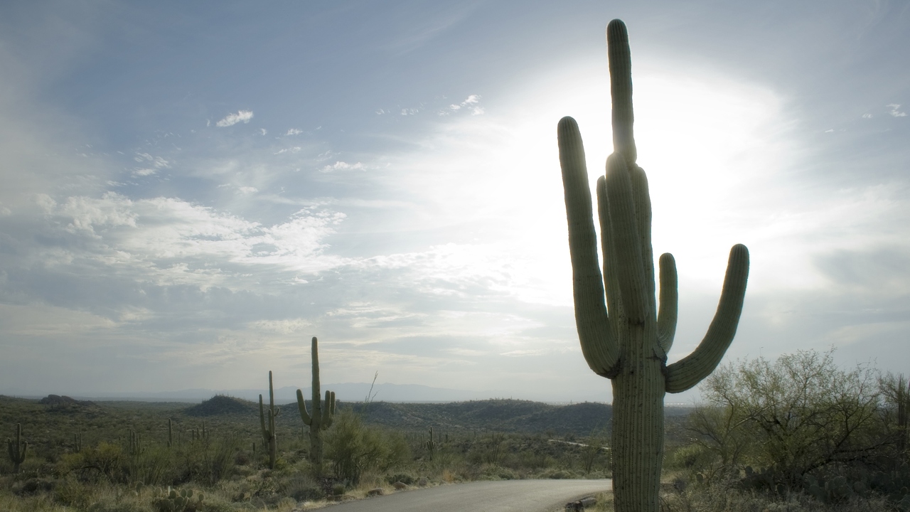 Arizona Climate Change: 3 Ways It Is Affecting Your Health