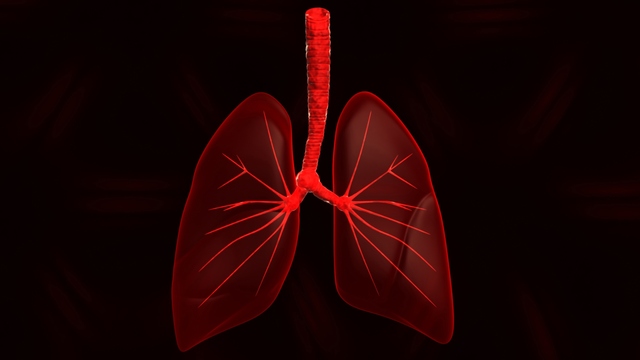 COPD: What are Its 5 Most Common Symptoms?