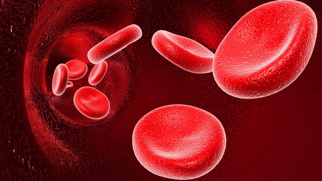 Rh Factor and Blood Type Incompatibility