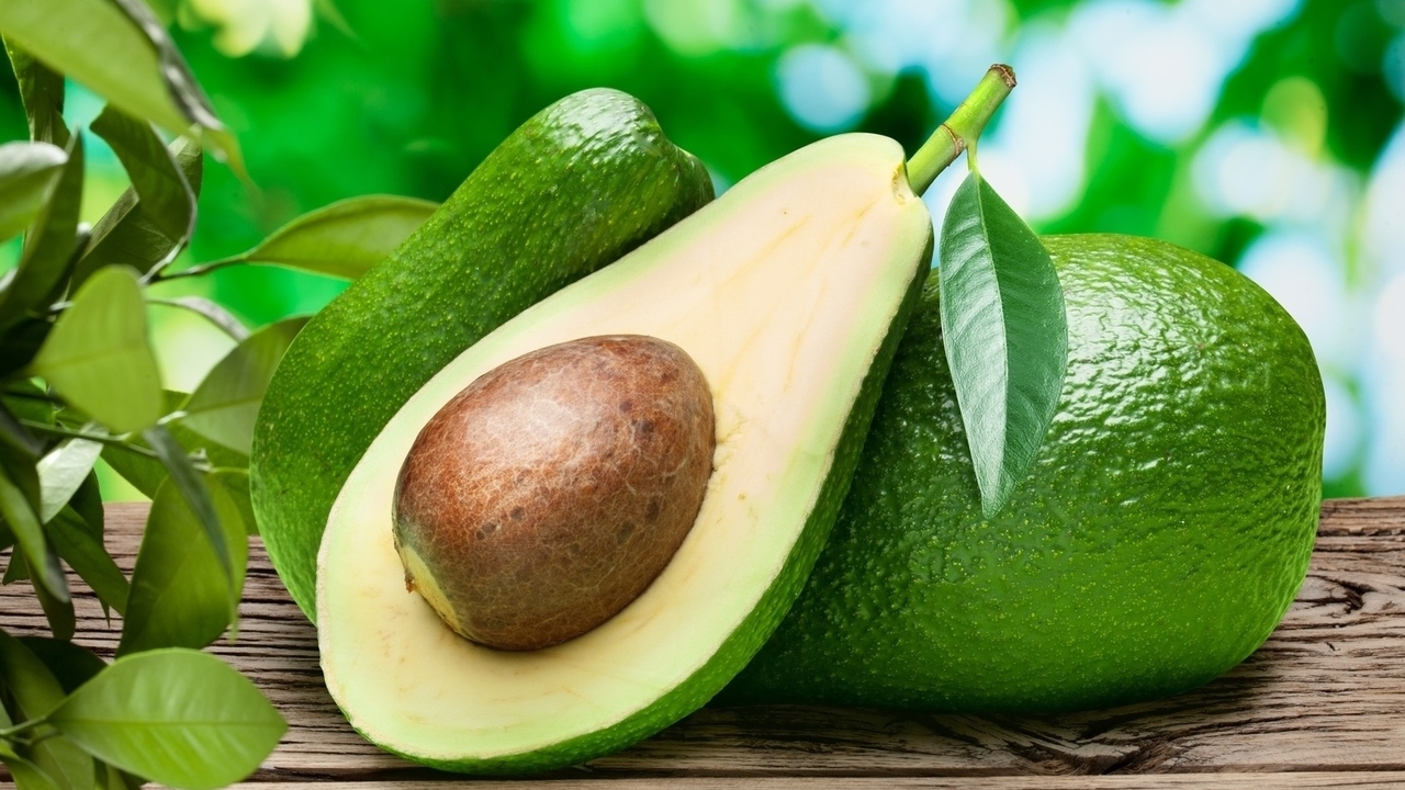 Avocados Could Be a New Treatment for Leukemia 