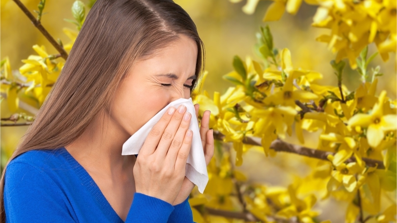 10 Best Cities for Allergy Sufferers: 5 Tips Make Life Easier