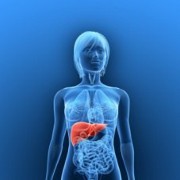 liver may be protected from cancer by diabetes drug 
