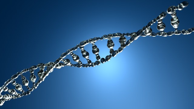 study finds gene for increased risk of ovarian cancer