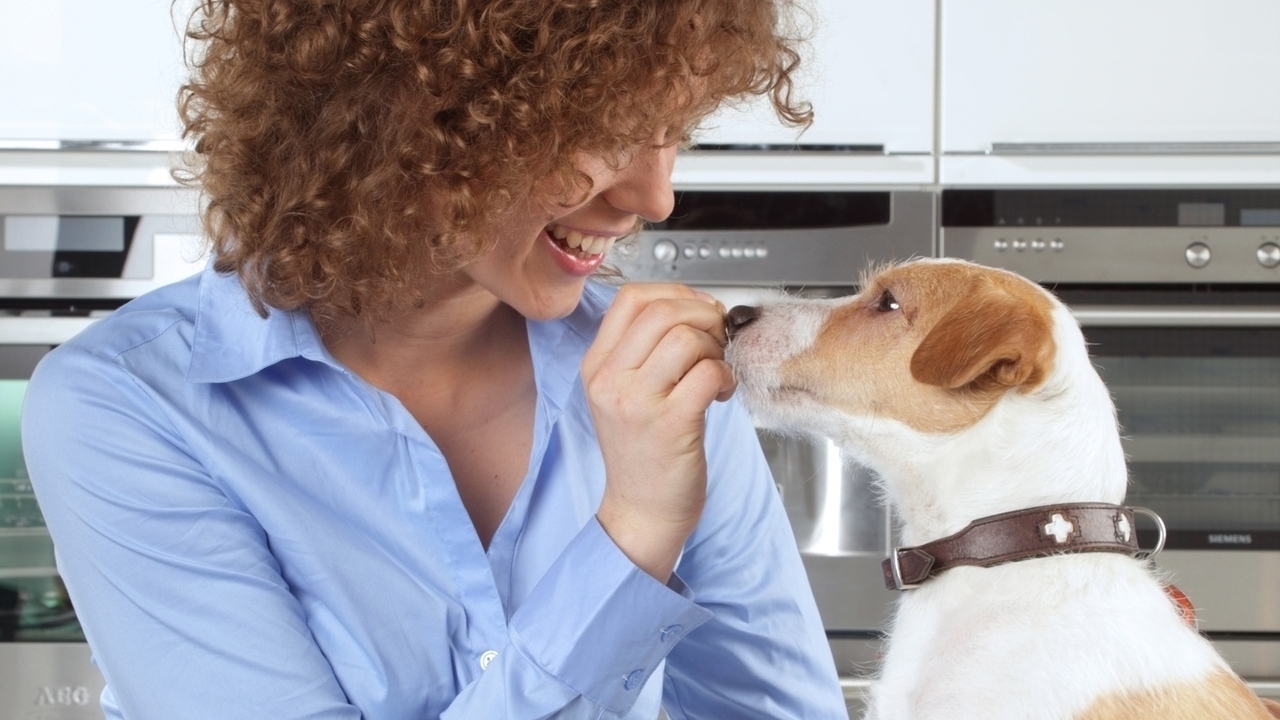 Healthy Human Foods You Can Feed to Your Dog