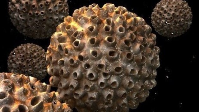can you get HPV from oral sex?