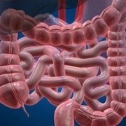 more is known about inflammatory bowel treatment