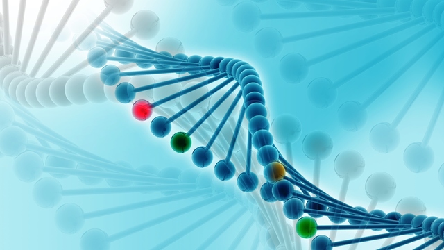 Abnormal Gene Function Causes Inherited and Non-inherited Cancers
