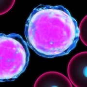 remission from aggressive leukemia after experimental therapy