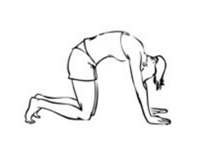 5 Yoga Poses To Do Before Class - Slide 1 - EmpowHER.com